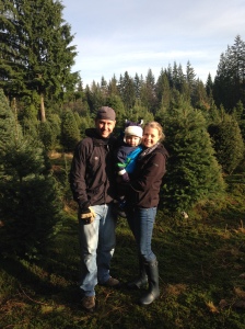Getting our Christmas tree.